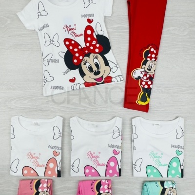 CONJUNTO MINNIE - 2 , 4 e 10 ANOS