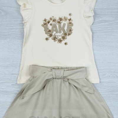 CONJUNTO LAKE - 4 , 8 E 10 ANOS