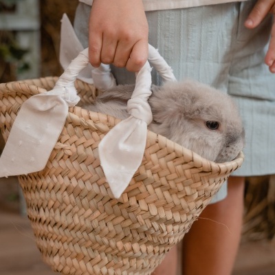 Cesta de Palma Personalizada