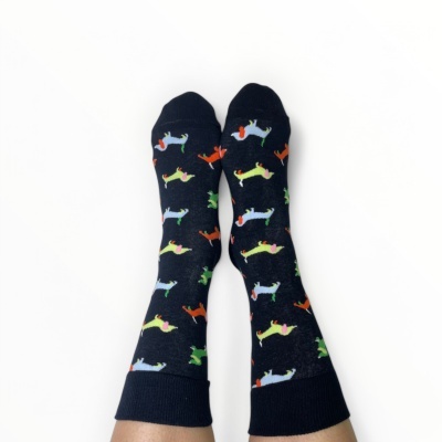 C&#x00E3;es&#x20;Salsicha&#x20;com&#x20;Atitude