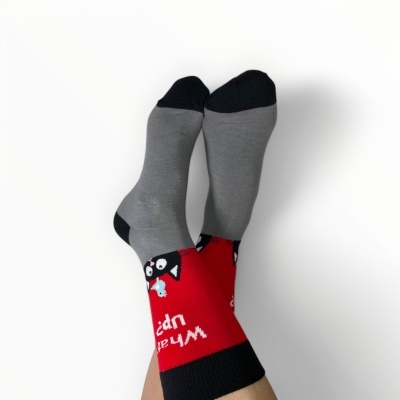 Gato & Pássaro – Amizade Improvável