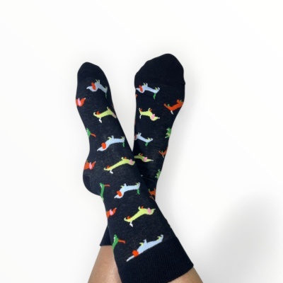 Cães Salsicha com Atitude