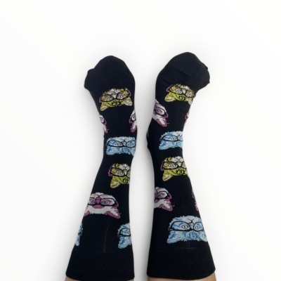 Gatos&#x20;Intelectuais