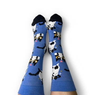 Gato&#x20;Pregui&#x00E7;oso