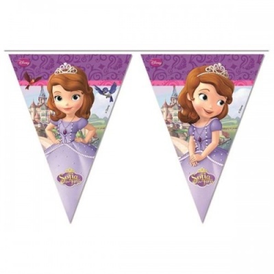 decor bandeirinhas princesa sofia