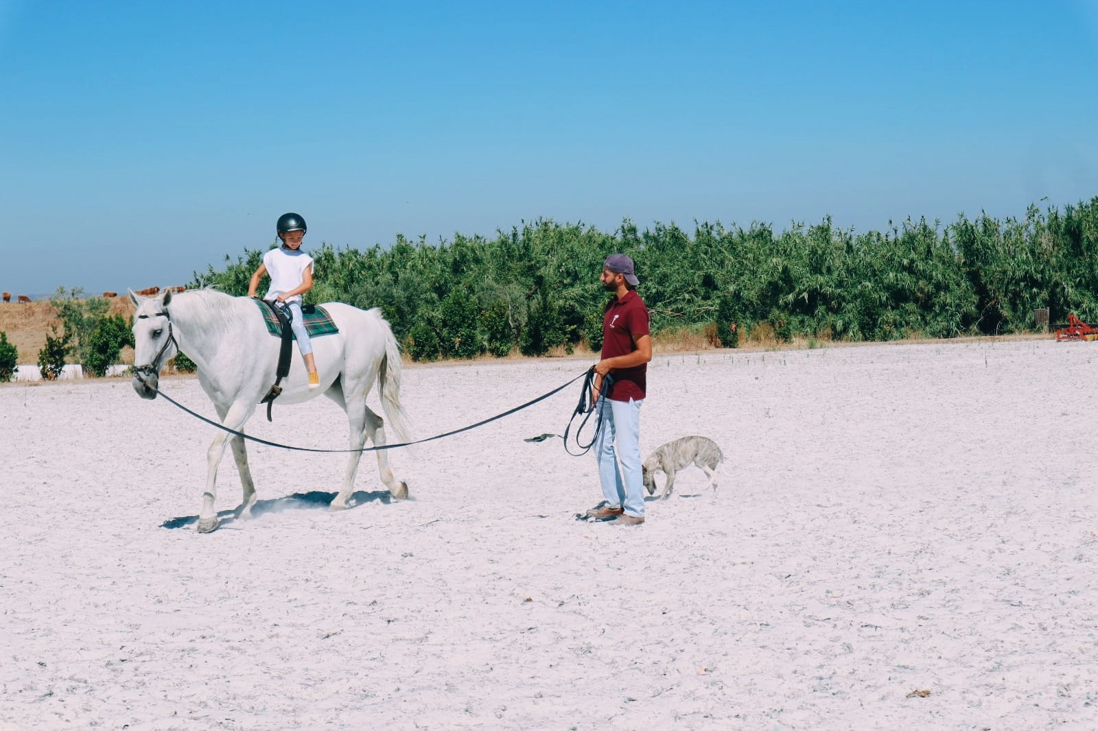 Viagem à medida Criança em cavalo branco com guia e homem segurando rédeas num campo arenoso