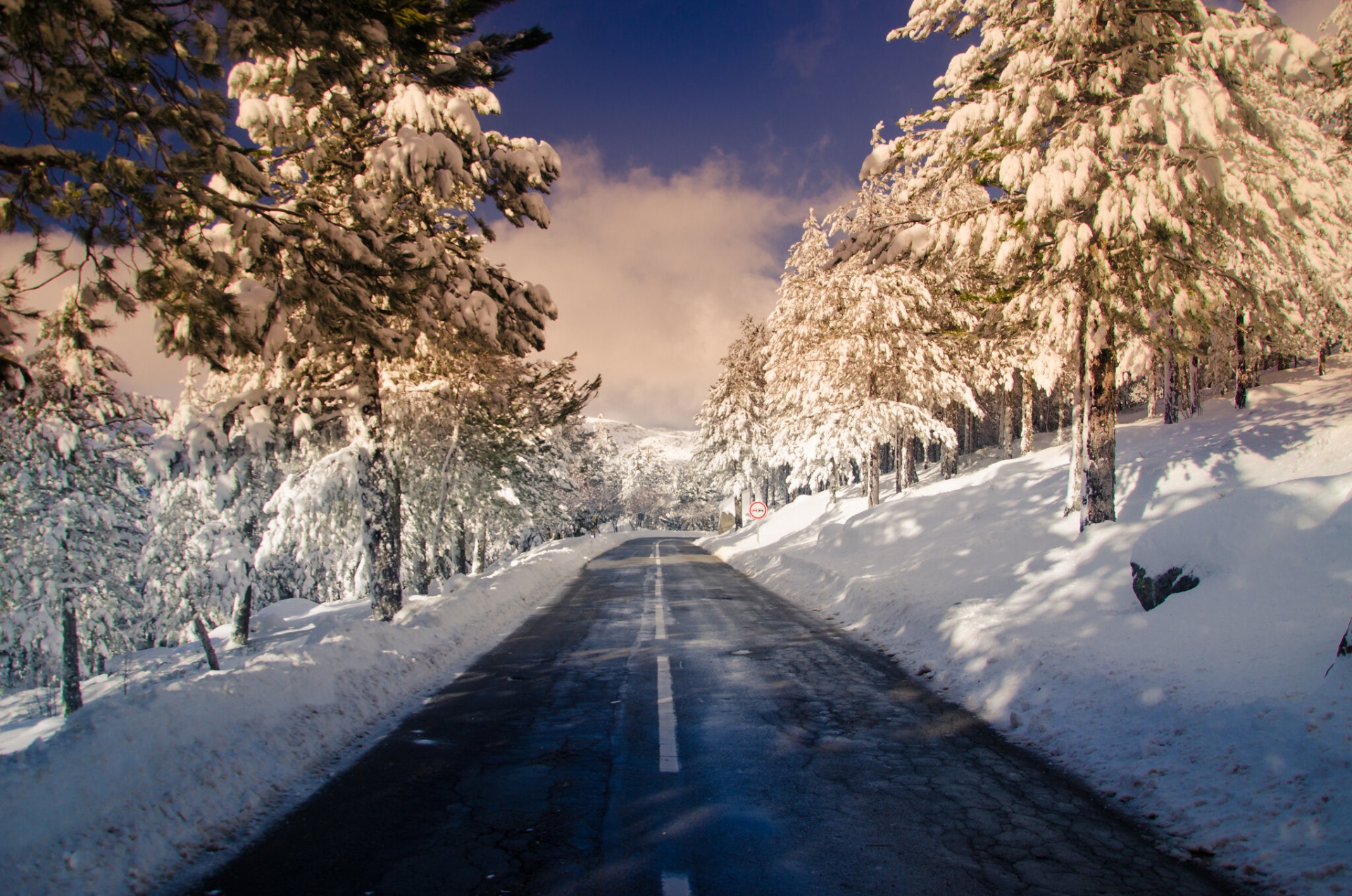 Serra da Estrela – Férias de Natureza e Tradição no Coração de Portugal Estrada asfaltada com árvores e neve