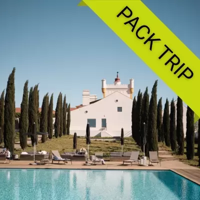 Piscina exterior com espreguiçadeiras, relvado, árvores e edifício branco ao fundo, faixa verde com texto PACK TRIP