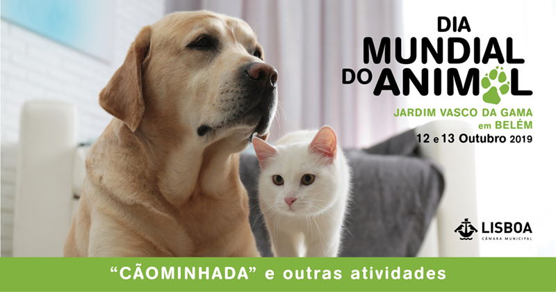 Dia do Cão - Belém Dia do Cão - Belém