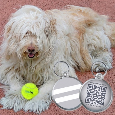 Codypet - Chapa de identificação