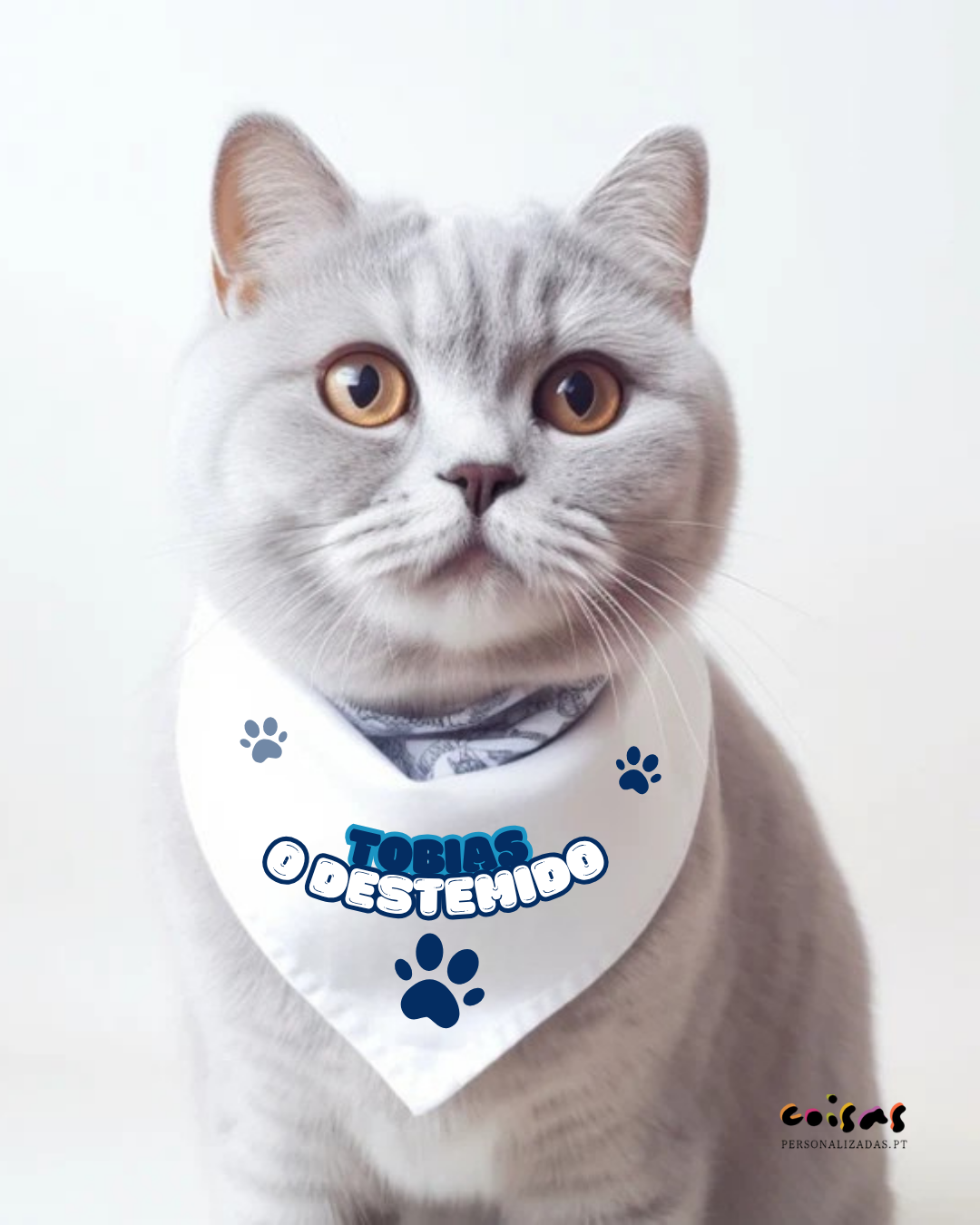 Descobre a Nova Coleção de Acessórios Personalizados para Animais de Estimação!