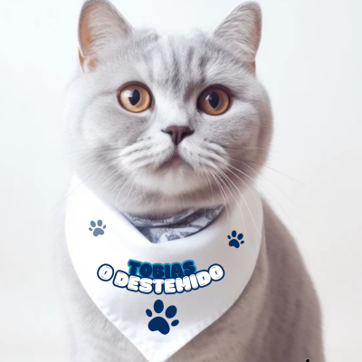 Bandana-Coleira&#x20;Personalizada&#x20;para&#x20;Gato&#x20;&#x7C;&#x20;Nome&#x20;Estampado&#x20;e&#x20;Design&#x20;Cheio&#x20;de&#x20;Gra&#x00E7;a