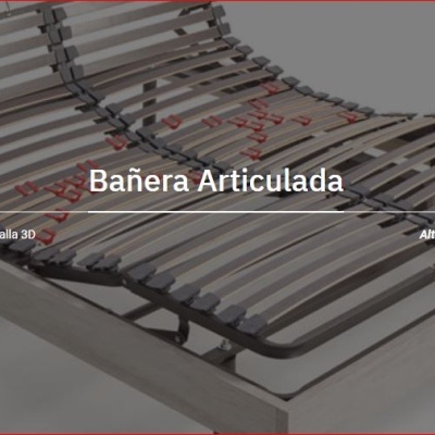 BASE ARTICULADA KOALA