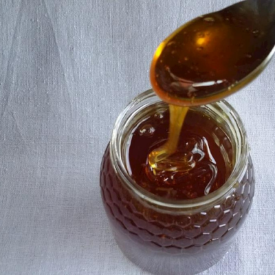 Mel Sabores da Montanha Castanheiro 500g