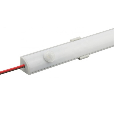 LED detector movimento 12/24V PIR 360º