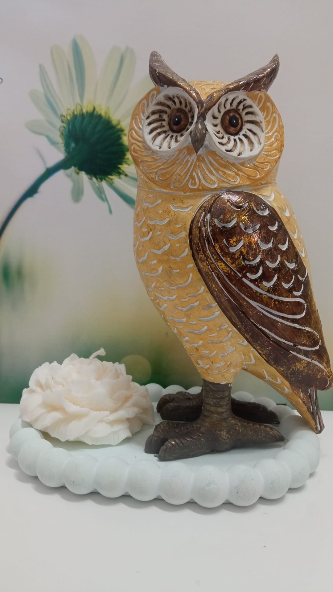 Coruja dourada e castanha grande