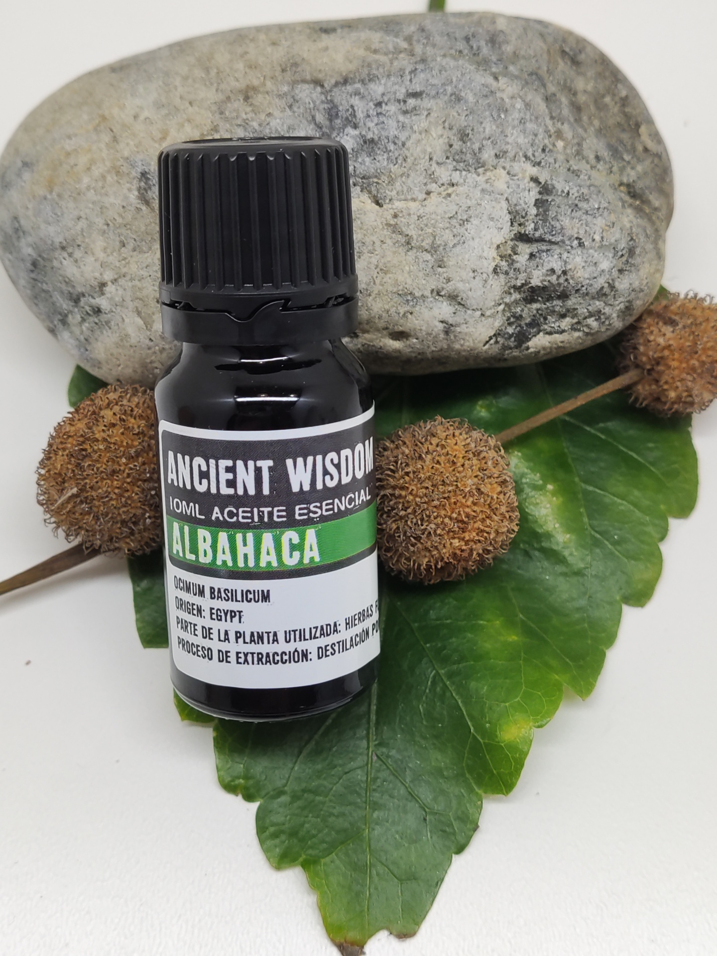 Óleo essencial de Manjericão 10 ml