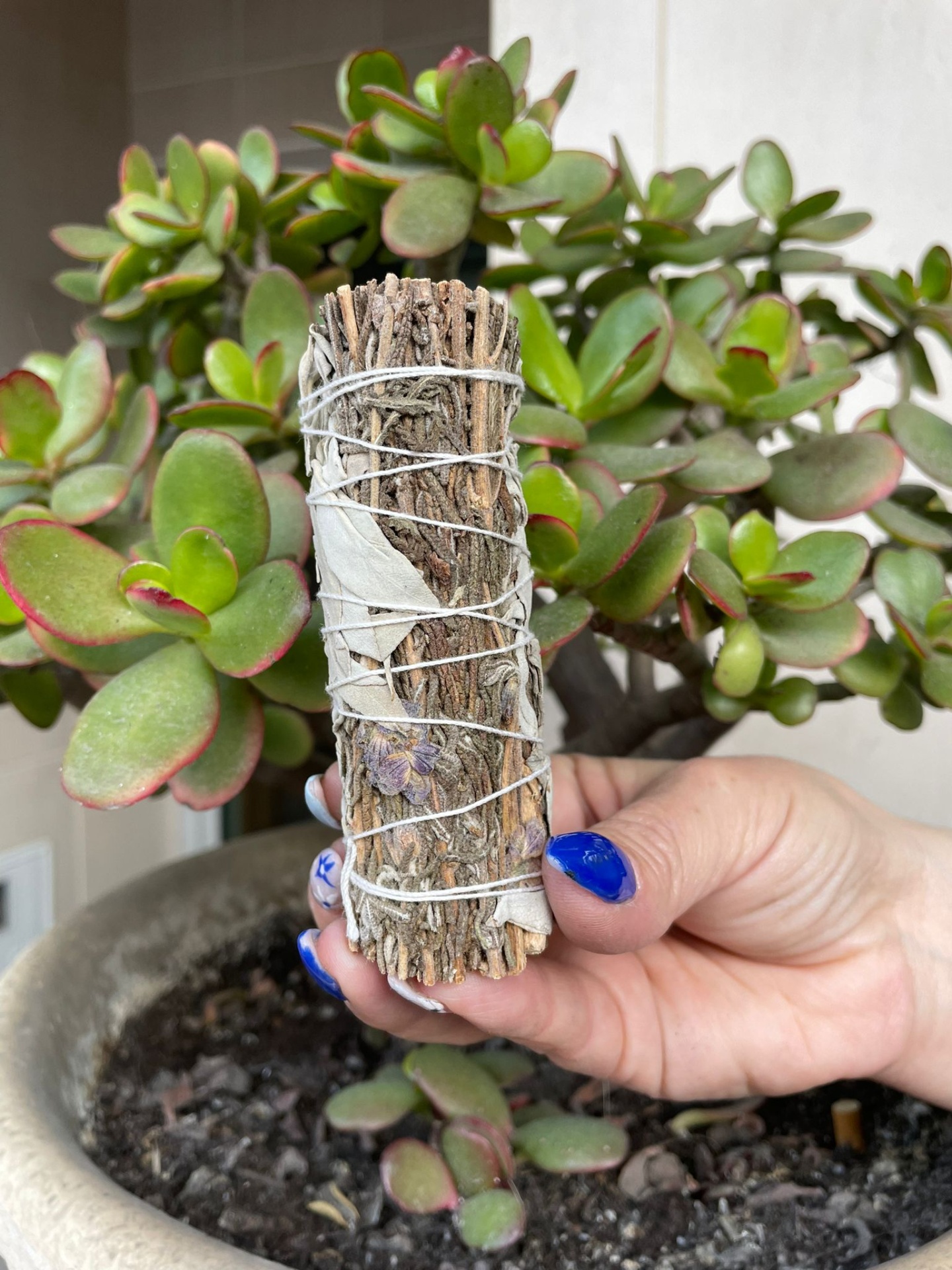 Sálvia Branca e Lavanda