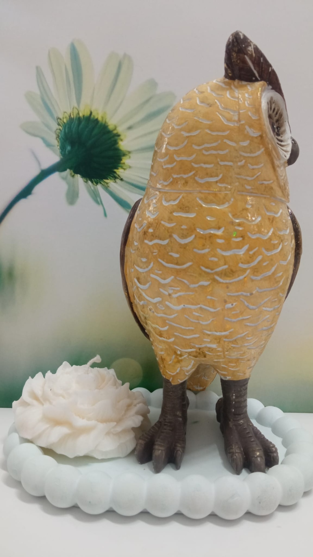 Coruja dourada e castanha grande