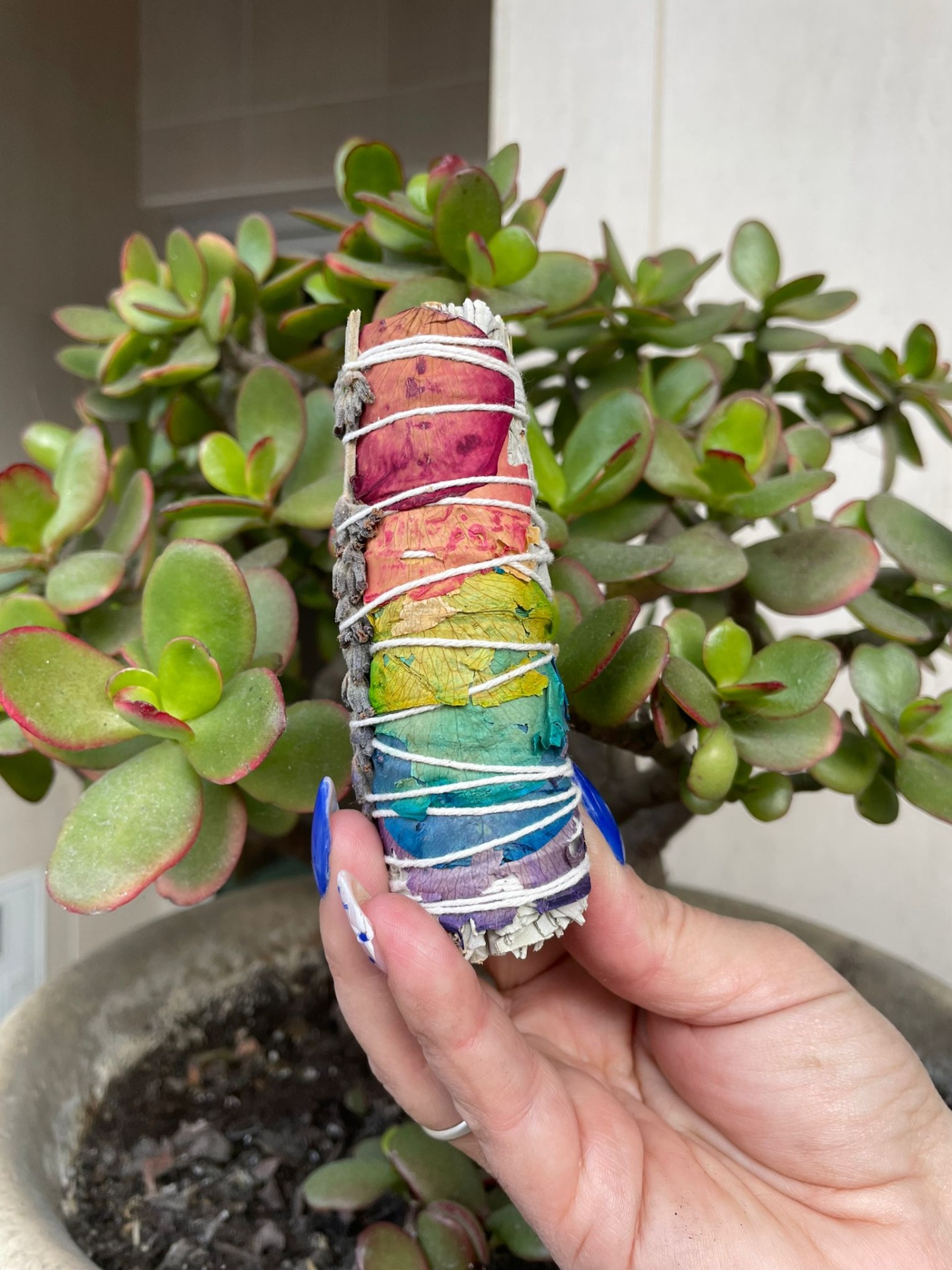 Sálvia Branca 7 Chakras