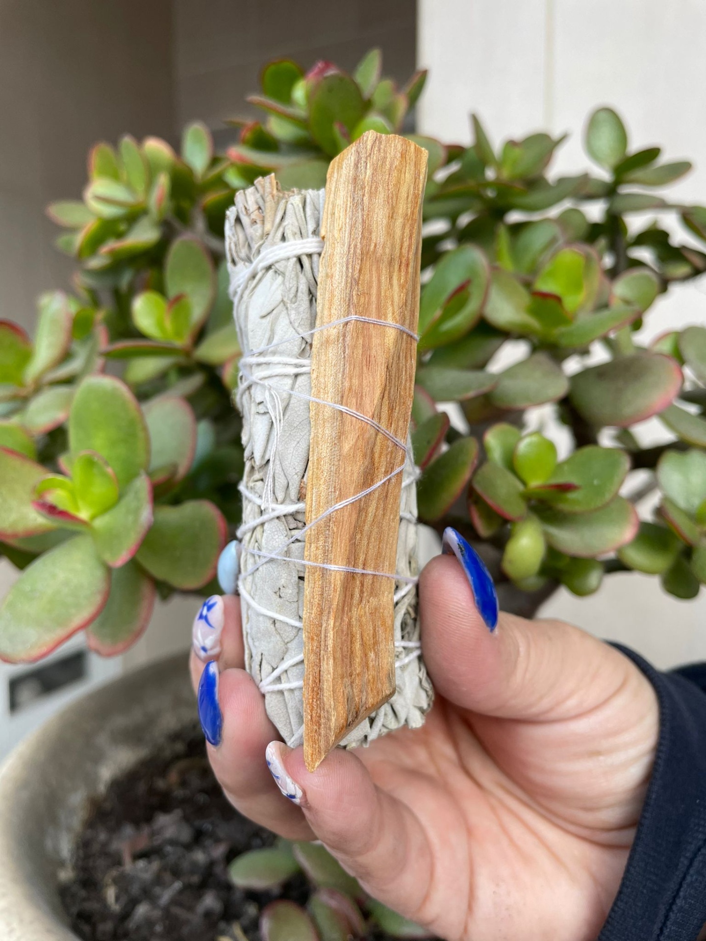 Sálvia Branca e Palo Santo