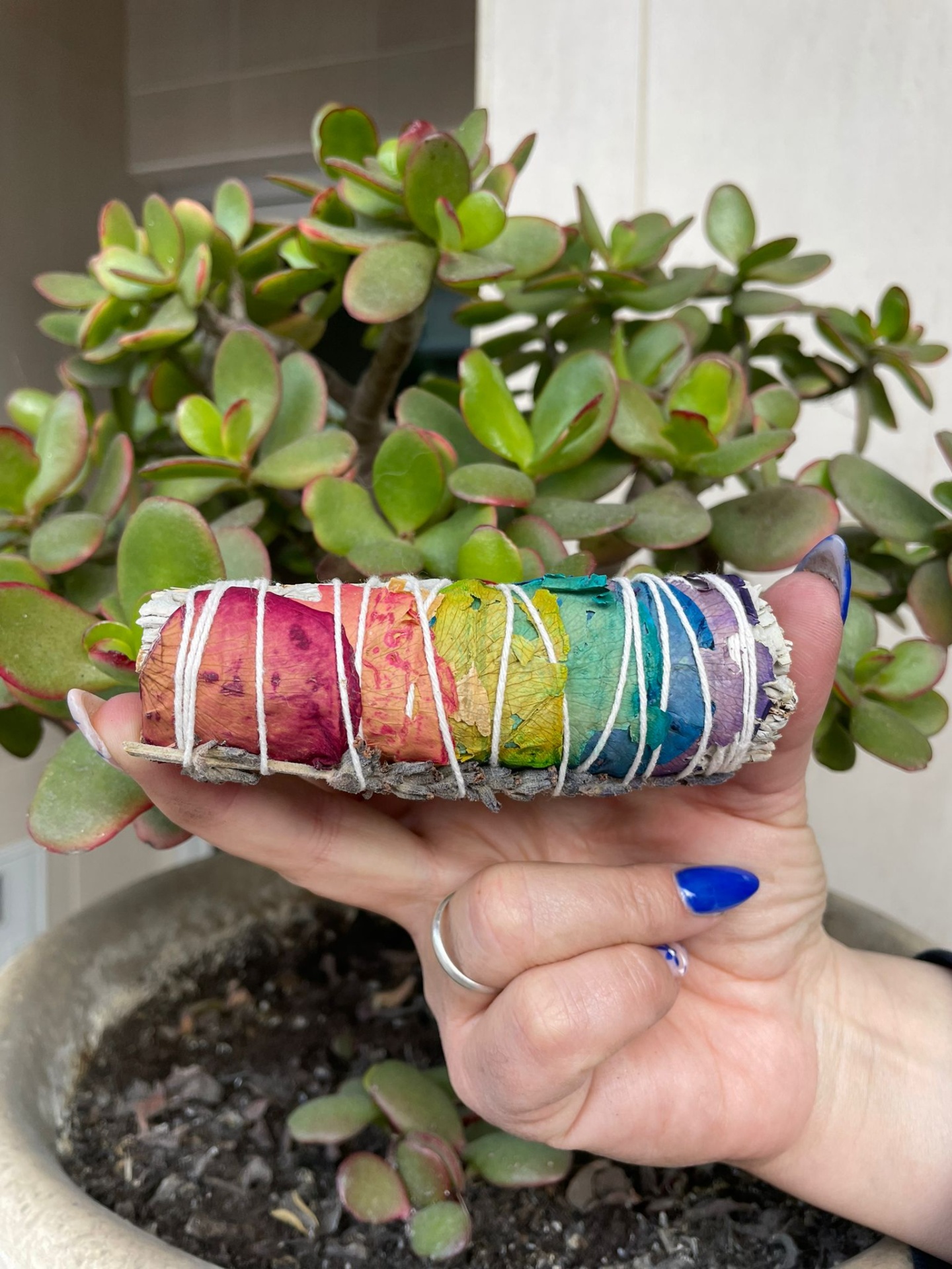 Sálvia Branca 7 Chakras