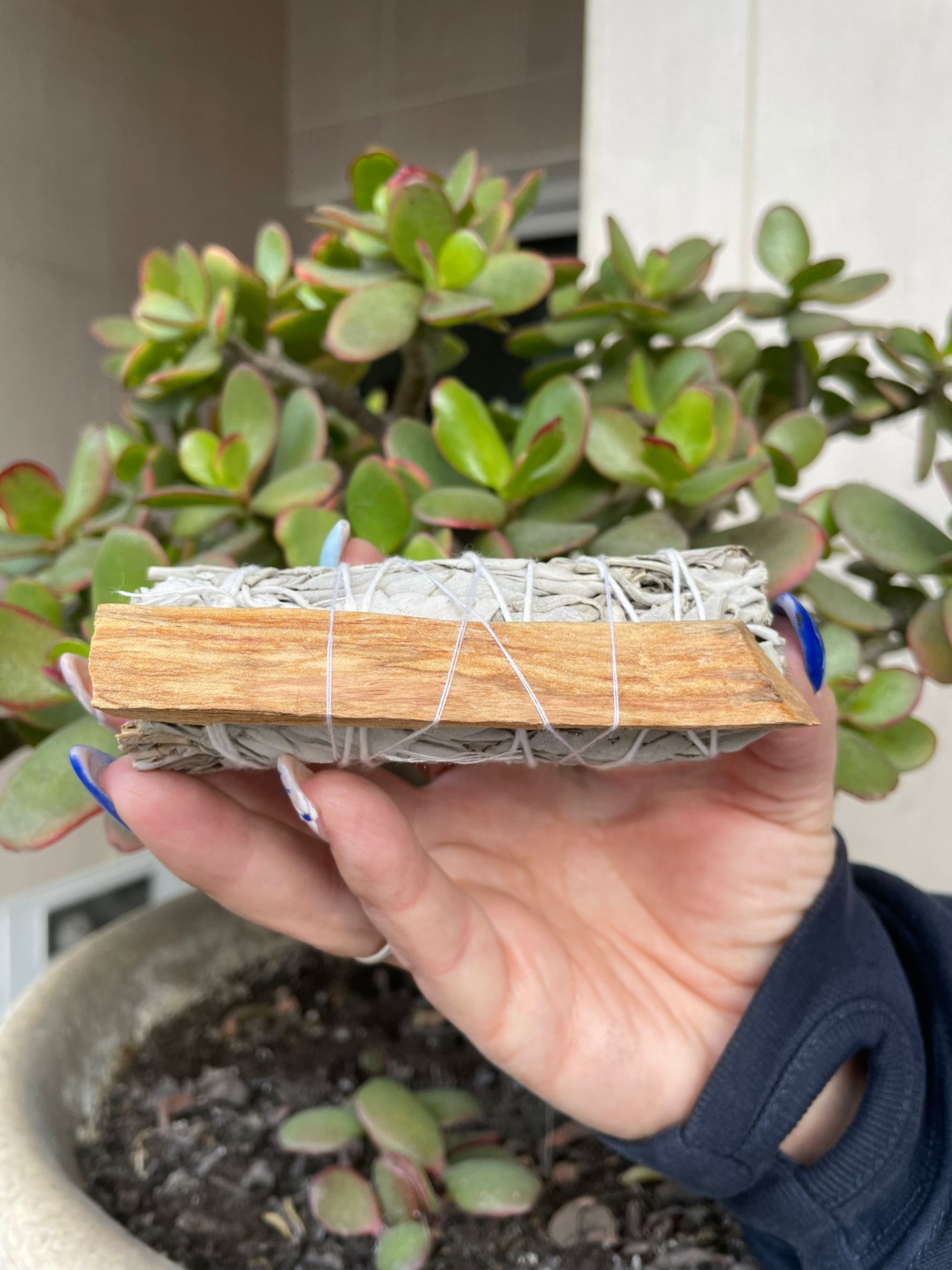 Sálvia Branca e Palo Santo