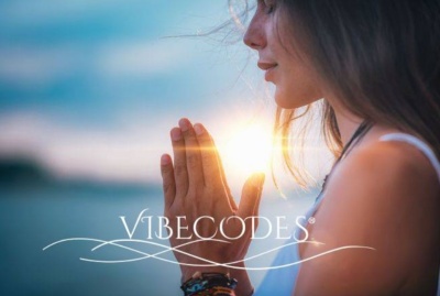 https://www.coracao-e-terra.pt/product/vibecodes-formacao