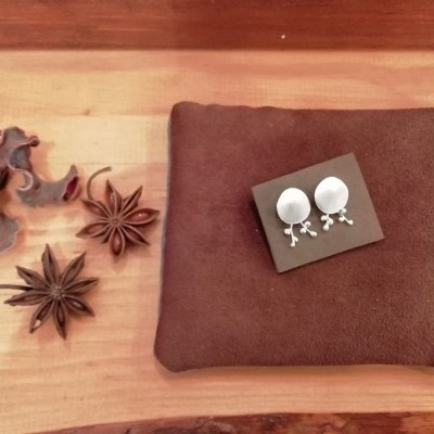 Brincos redondos com bagas