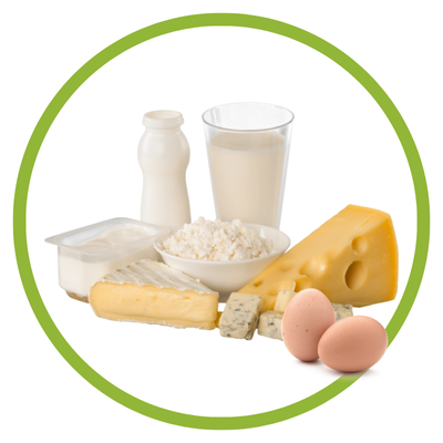 Produtos lácteos e ovos sobre fundo branco com círculo verde