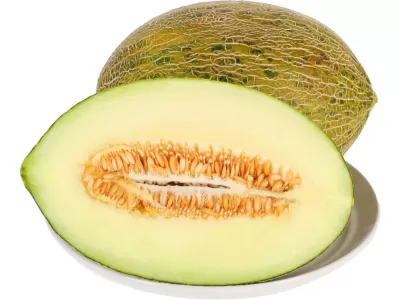 Melão cantaloupe cortado ao meio com casca verde e sementes visíveis