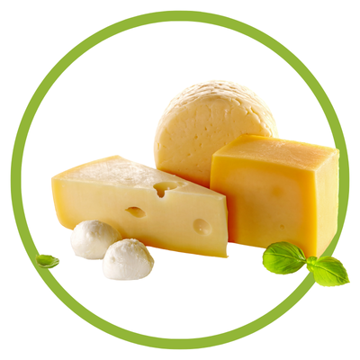 Três queijos de formas diferentes com folhas verdes decorativas num fundo branco