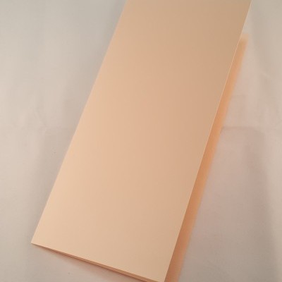 Cartão DL colorido  cor beje