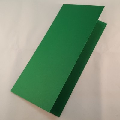 Cartão DL colorido cor verde escuro