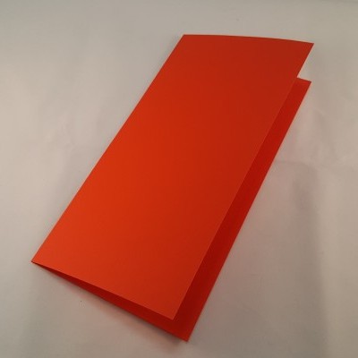 Cartão DL colorido cor laranja