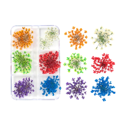 Flores Secas Mix 24 pçs 