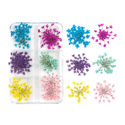 Flores Secas Mix 24 pçs 