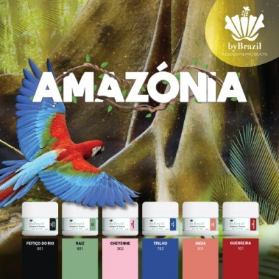 Kit Gel de Cor Amazónia
