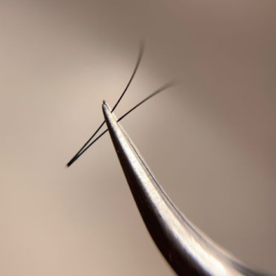 Agulha fina com duas pestanas escuras na ponta sobre fundo bege claro