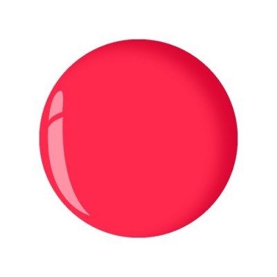 Gel de Cor Porta Bandeira N4