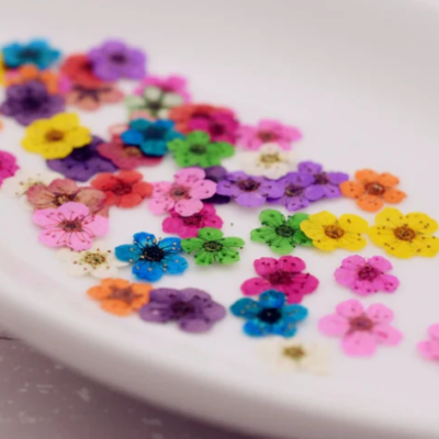 Flores Secas Mix 20 pçs