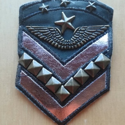 Aplicação Termoculante DIVISA ASAS