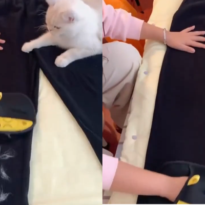 Luva removedora de pelo