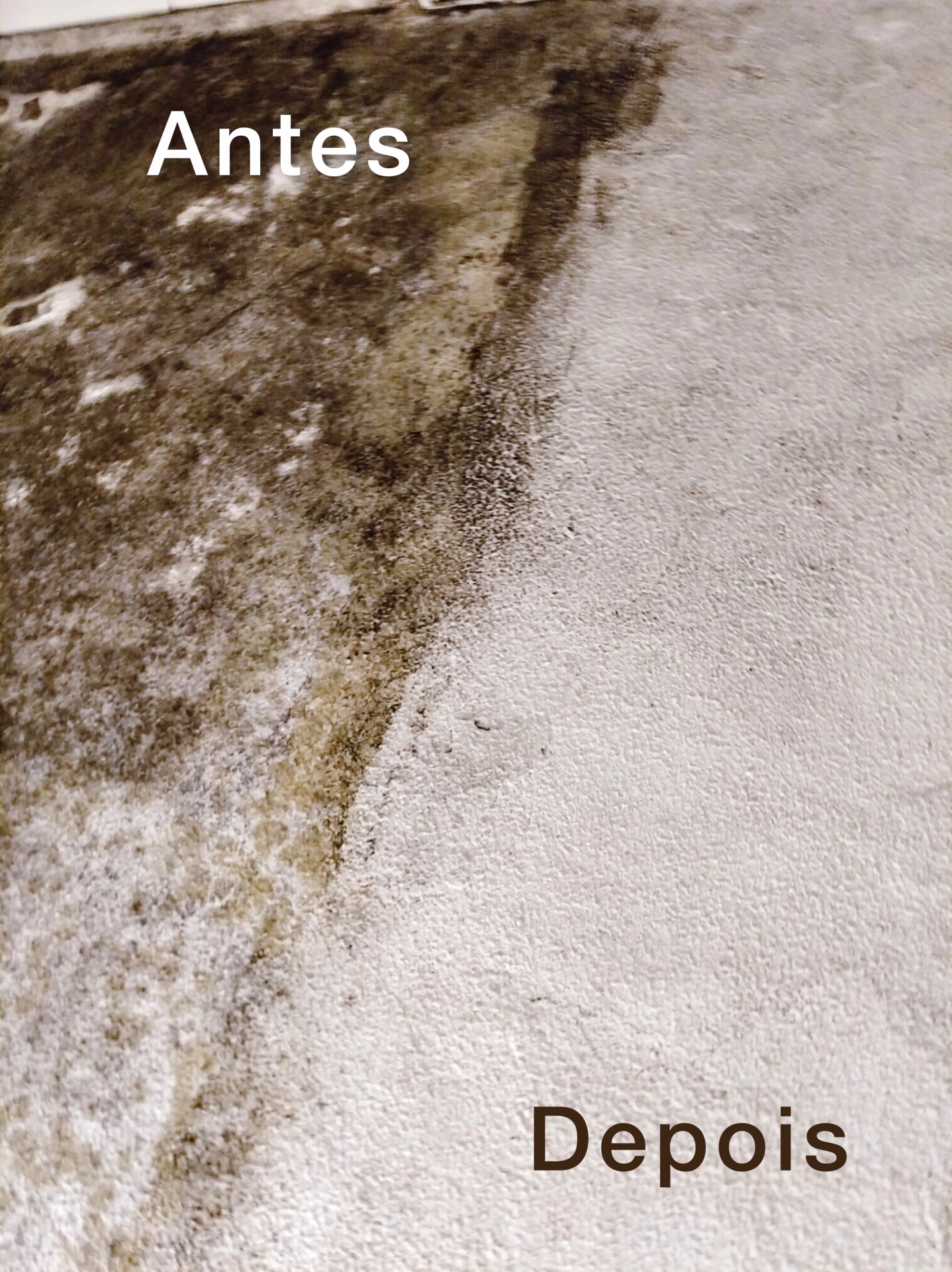 Limpa vidros, tira bolores, calcários - ECO GLASS Limpa vidros, tira bolores, calcários - ECO GLASS