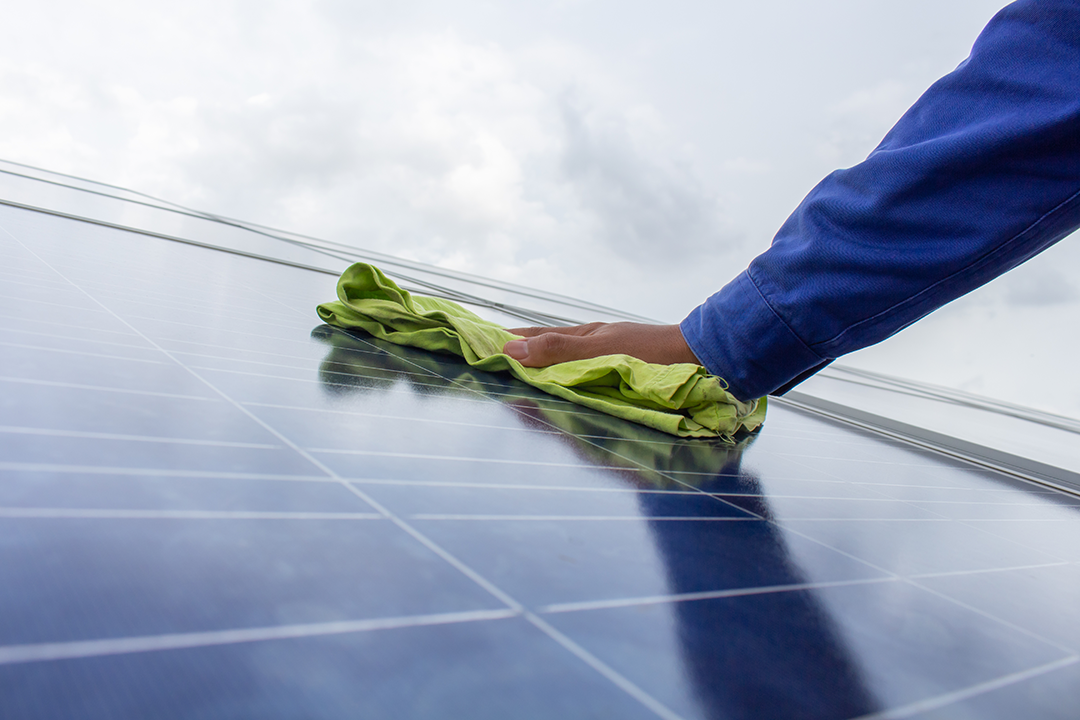 Limpeza de ?musgos? em painéis solares - SOLAR CLEAN BAC Limpeza de ?musgos? em painéis solares - SOLAR CLEAN BAC