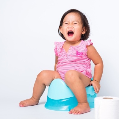 Absorvente BIO de fluídos Humanos e Animais - Vircov ABS