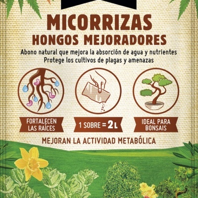 Micorrizas - Fungos Melhoradores