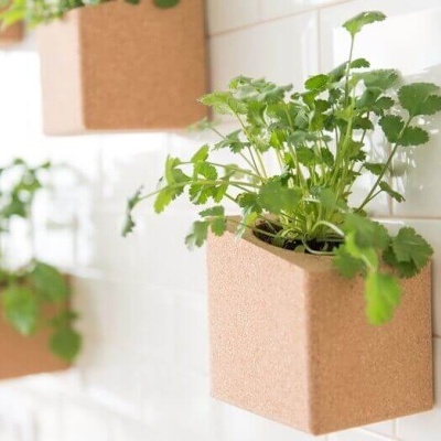 Grow cork block
