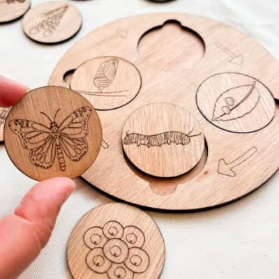 Ciclos de Vida - Puzzle