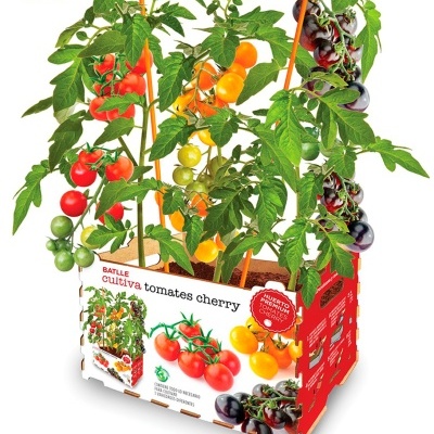 Horto Premium Tomate Cherry